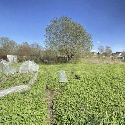 Земельный участок д. Химози, улица Ополченцев,  д. 3