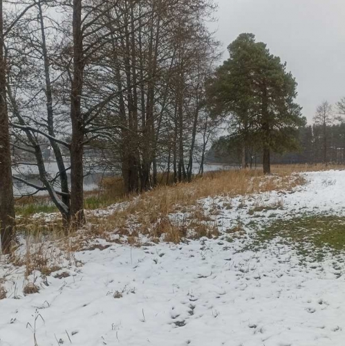 Земельный участок Старая Середка дер.