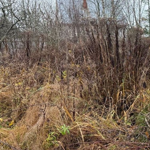 Земельный участок Смольнинское СНТ, 107