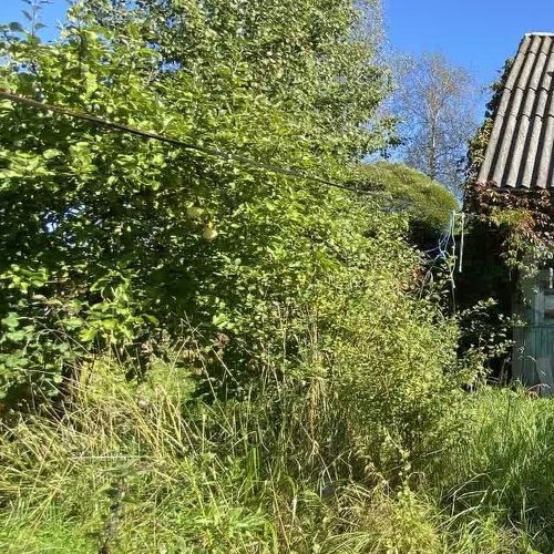 Коттедж/дом Солнечный СНТ, улица 28-я