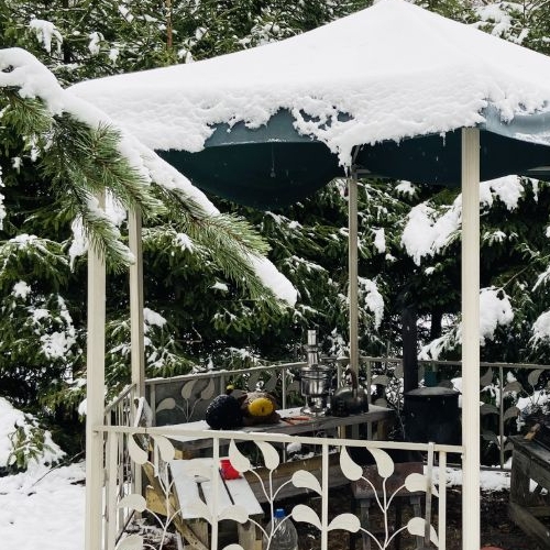 Коттедж/дом пос. При железнодорожной станции Каннельярви, Синули СНТ,  д. 175