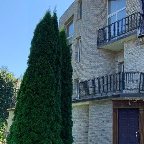 Коттедж/дом Петергоф, улица Средняя, 22