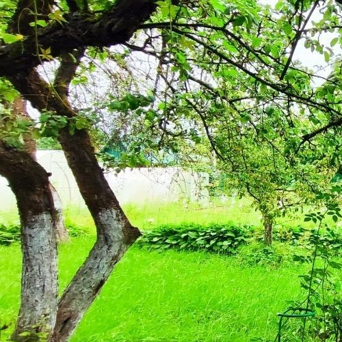 Коттедж/дом Горы-1 садоводческий массив, улица Вишневая