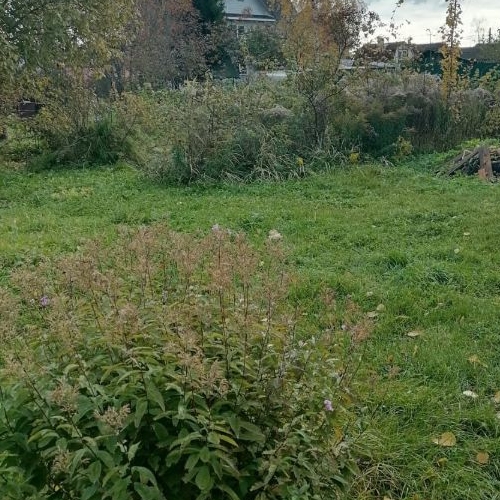 Коттедж/дом Бетонщик СНТ