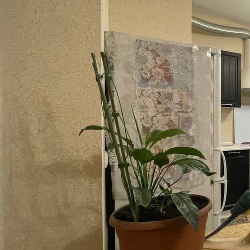 Студия Имени Свердлова пгт, проезд Западный, 14