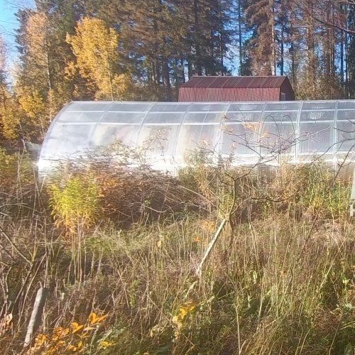 Коттедж/дом Выборг, Ручьи СНТ, тупик 1-й Оливковый, 6