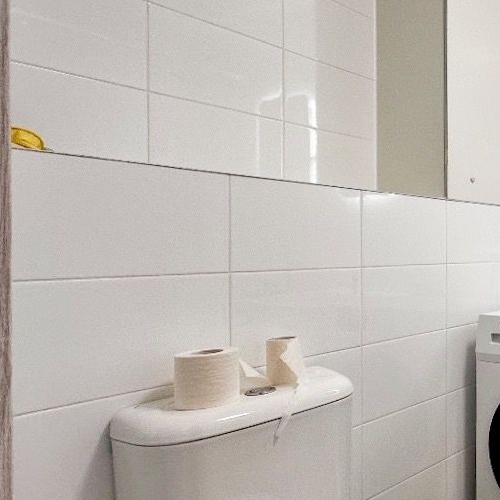 1-комн квартира Новоселье городской поселок, улица Невская, 17к1