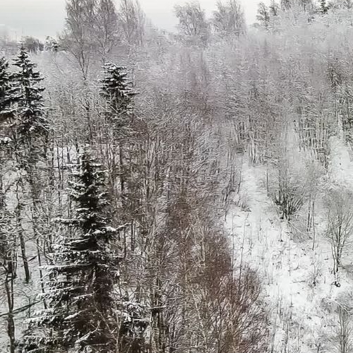 Земельный участок д. Юкки, улица Спортивная