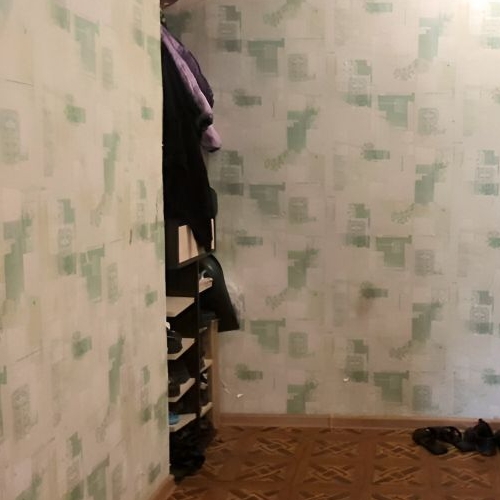 1-комн квартира пос. Большие Лучки, Сланцы, улица Жуковского, 10