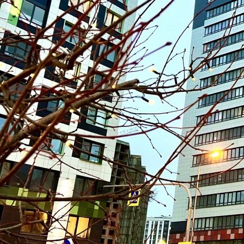 1-комн квартира Мурино, улица Екатерининская, 19