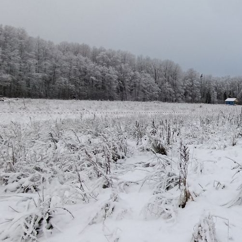Земельный участок Сердце Вуоксы кп, д. Четверяково