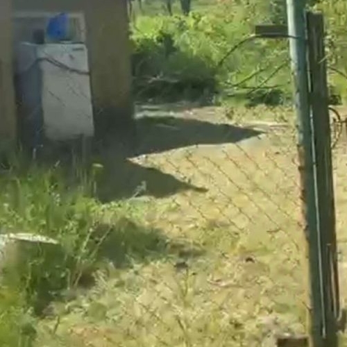 Земельный участок пос. Судаково, улица Магистральная, 15Б