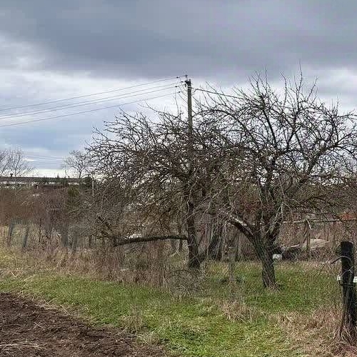 Коттедж/дом с. Шум, переулок Прокофьева, 1