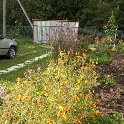 Коттедж/дом Кюльвия СНТ