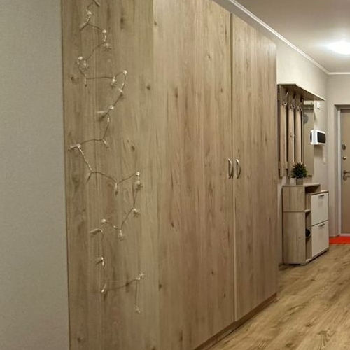 Студия пос. Парголово, проезд Толубеевский, 8к2