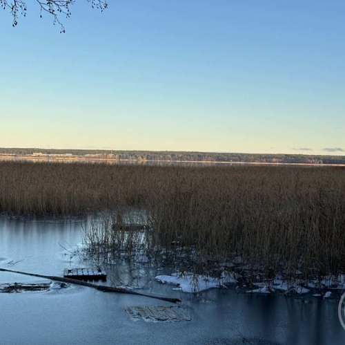 Земельный участок Прибылово пос., Луговая ул. ,  д. 34