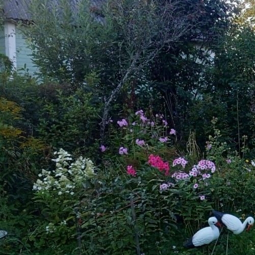 Коттедж/дом Пупышево садоводческий массив, Чайка СНТ, 2-я линия