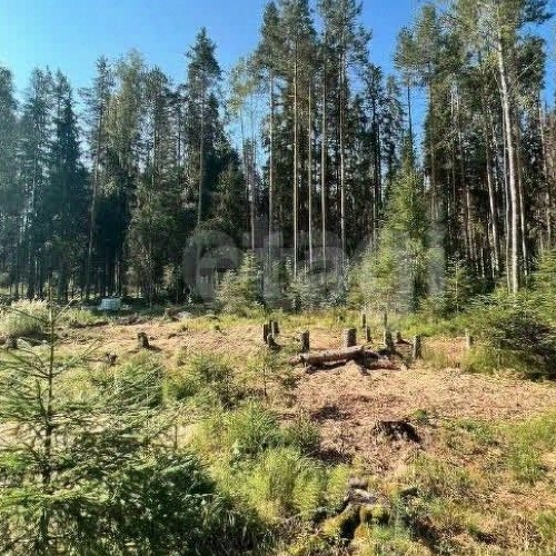 Земельный участок ДНП Лесной хут., д. Сарженка