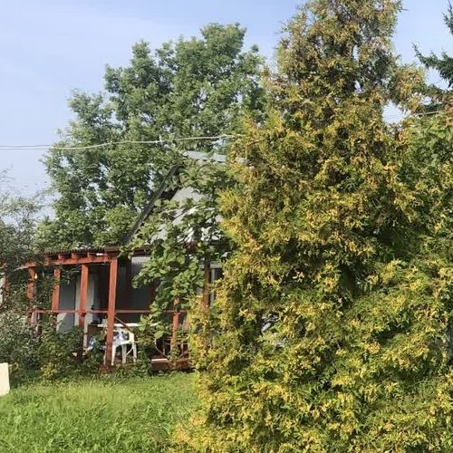 Коттедж/дом Строитель СНТ, улица 19-я, 11