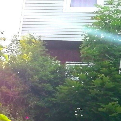 Коттедж/дом Новожилово массив, Орехово СНТ