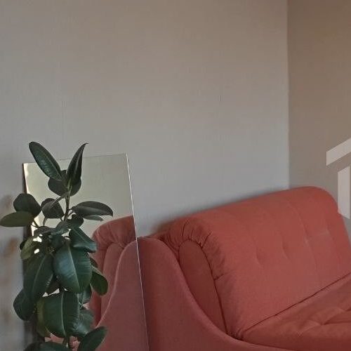 2-комн квартира Петергоф, Ропшинское шоссе, 3к4