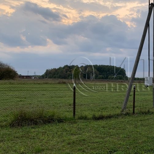 Коттедж/дом д. Холоповицы, 38