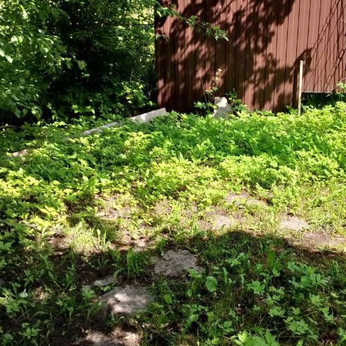 Земельный участок Климовец СНТ, аллея 4-я, 32