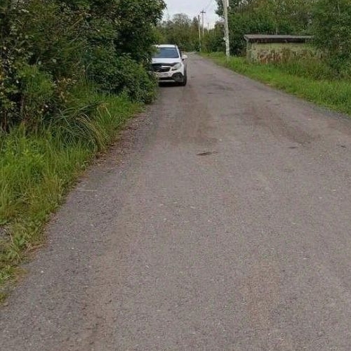 Коттедж/дом Восход садоводческий массив, Лесное СНТ, улица Мичуринская, 4