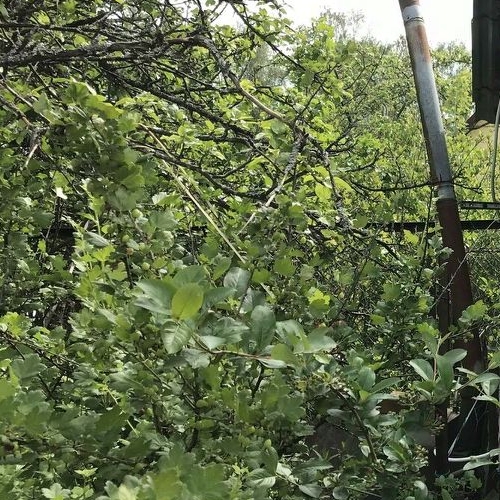 Коттедж/дом Сады имени Володарского СНТ,  д. 167