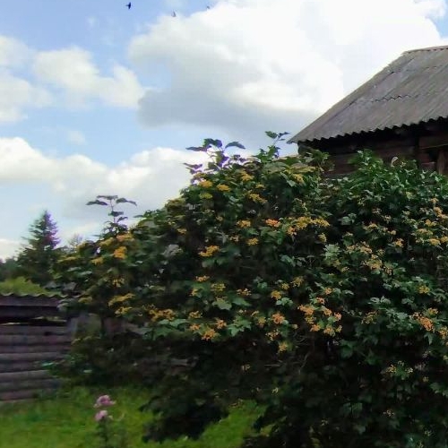 Коттедж/дом д. Дуняково, 6