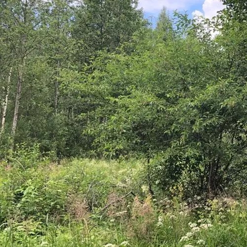 Коттедж/дом Южное СНТ, улица 1-я Садовая,  д. 161