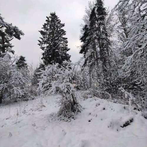 Земельный участок Бригадное, Бригадное п.