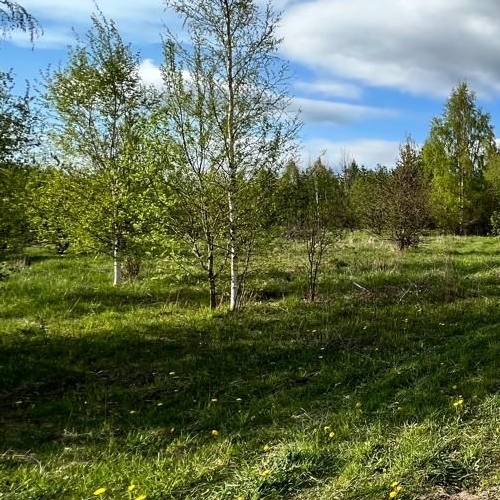 Земельный участок д. Светлое, улица Садовая, 44