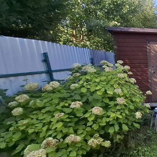 Коттедж/дом Карелия СНТ, 79