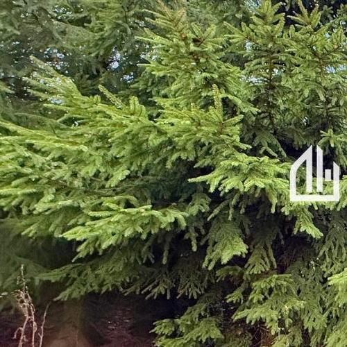 Коттедж/дом пос. Горьковское, улица Новая, 32