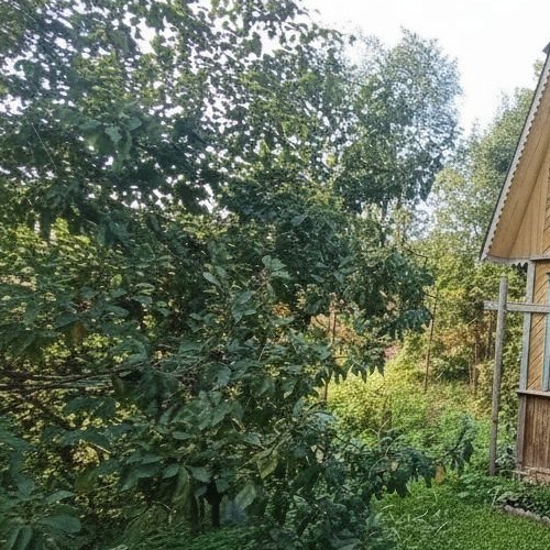 Коттедж/дом Выборг, улица Главная, 58