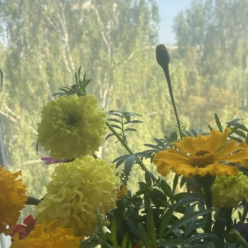 1-комн квартира проспект Науки, 28К3