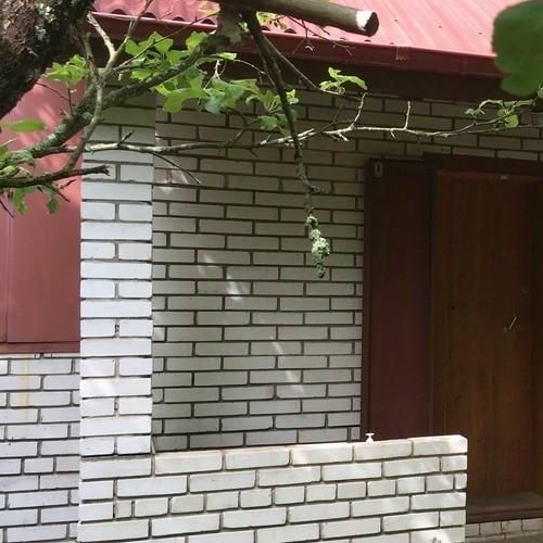 Коттедж/дом Будогощь пгт, улица Новая, 7