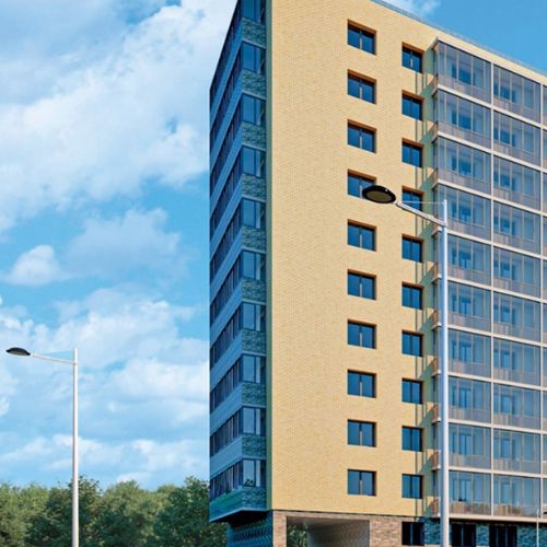 2-комн квартира д. Новое Девяткино, улица Главная, 2