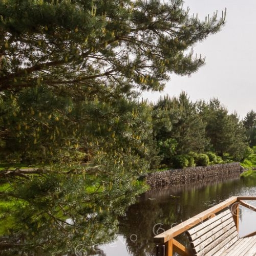 Земельный участок д. Горловщина,  д. 98Н