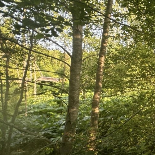 Коттедж/дом д. Шуйга, улица Новоселов, 2