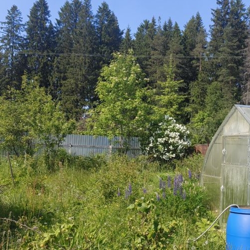 Коттедж/дом Перовское СНТ