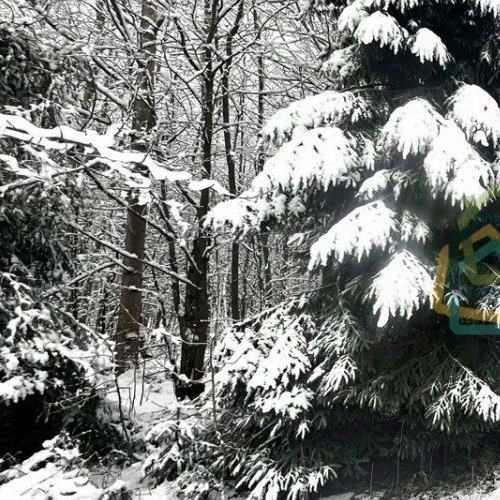 Земельный участок д. Агалатово, улица Кленовая, 3В