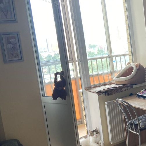 Студия пос. Шушары, Школьная улица, 6к2