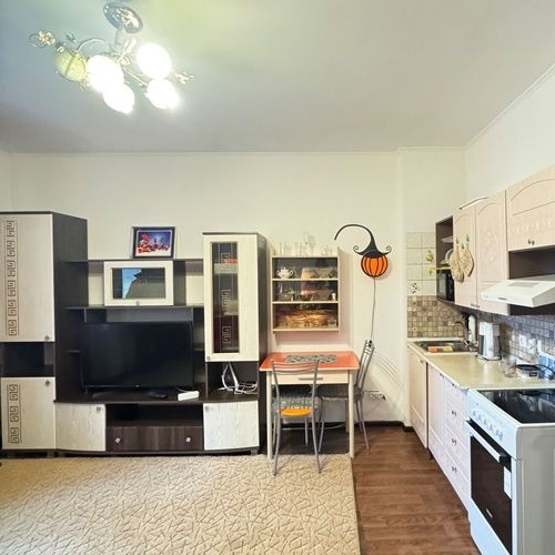 Студия проспект Ветеранов, 171к1