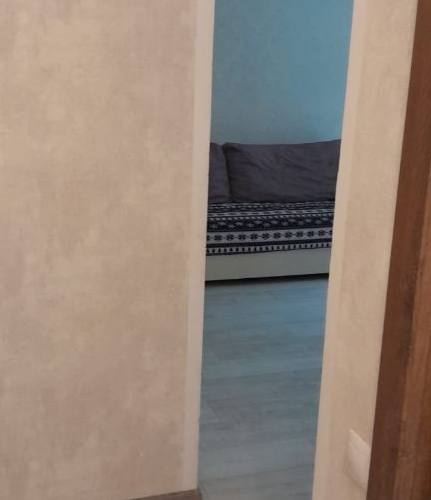 3-комн квартира улица Софьи Ковалевской, 3К3