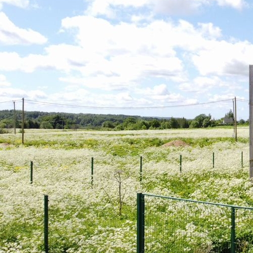 Коттедж/дом Усадьба Воронино ДНП, улица Садовая