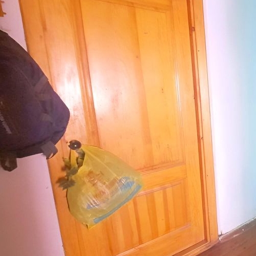 Комната улица Танкиста Хрустицкого, 108