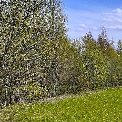 Земельный участок д. Ириновка, 110