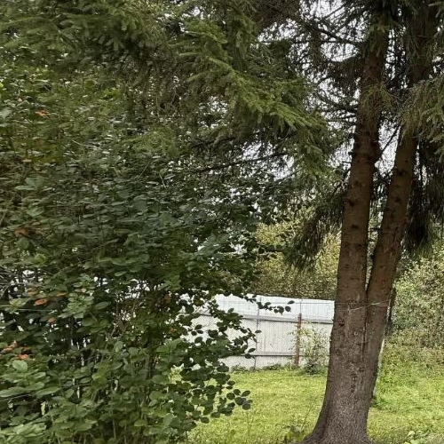 Коттедж/дом Пупышево садоводческий массив, Строитель СНТ, 1-я линия